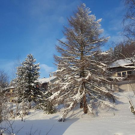 Ferienhaus Lucia, App.11 Шёнвальд Экстерьер фото